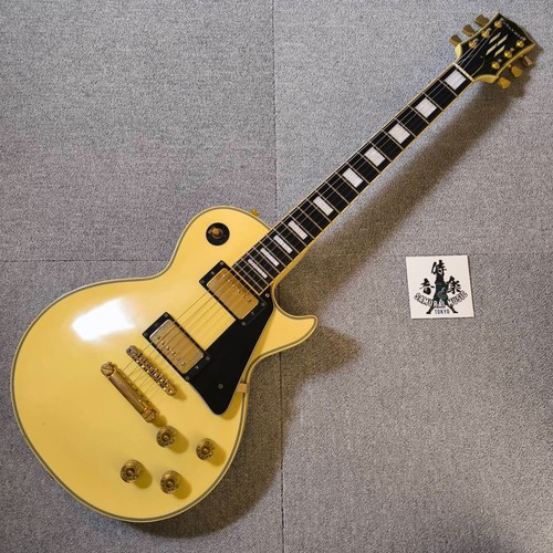 Chitarra elettrica edwards - chitarra,